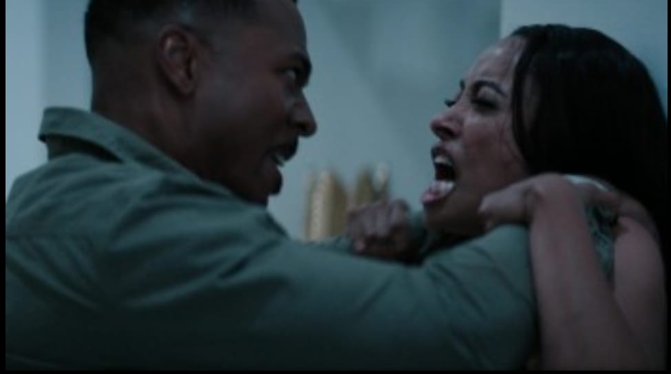 Tyler Perry's Duplicity